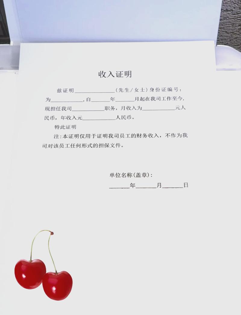 丹东代开收入证明的正确姿势：张会计的突围战